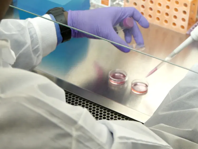 Quantitative Immunofluorescence Assay to Measure the Variation in Protein Levels at Centrosomes