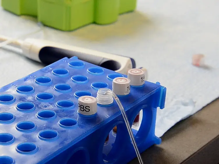 Production and Use of Lentivirus to Selectively Transduce Primary Oligodendrocyte Precursor Cells for <em>In Vitro</em> Myelination Assays
