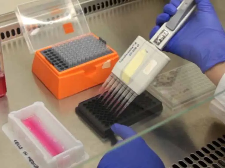 High Throughput Fluorometric Technique for Assessment of Macrophage Phagocytosis and Actin Polymerization