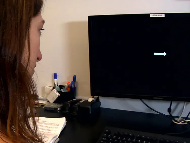 A Cognitive Paradigm to Investigate Interference in Working Memory by Distractions and Interruptions