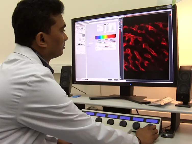 Intravital Microscopy Imaging of the Liver following <em>Leishmania</em> Infection: An Assessment of Hepatic Hemodynamics