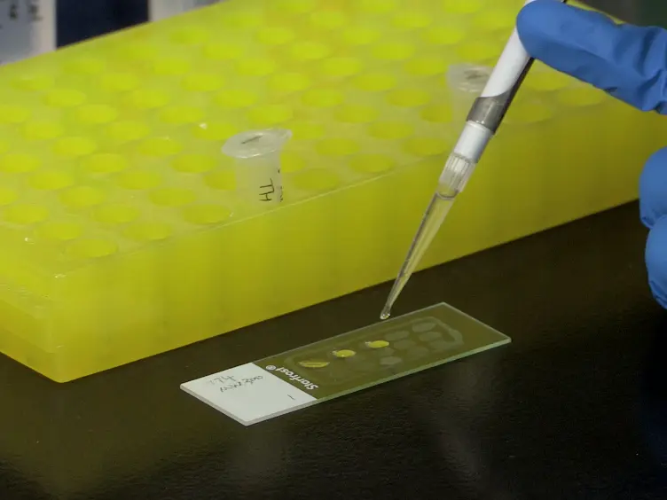 Laser Capture Microdissection - A Demonstration of the Isolation of Individual Dopamine Neurons and the Entire Ventral Tegmental Area
