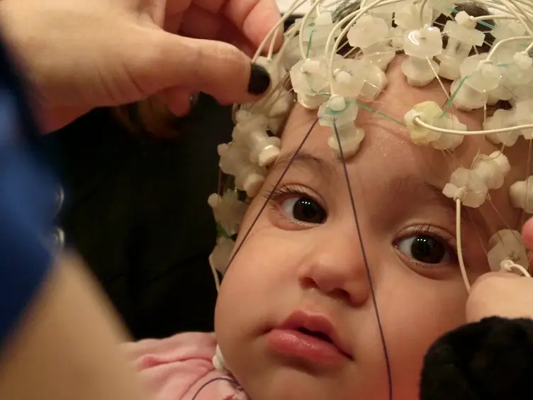 Infant Auditory Processing and Event-related Brain Oscillations