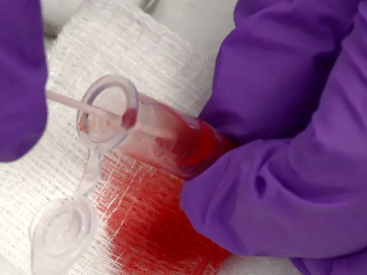 Physiology Lab Demonstration: Glomerular Filtration Rate in a Rat
