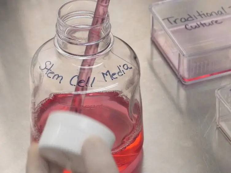 <em>In vitro</em> Enrichment of Ovarian Cancer Tumor-initiating Cells