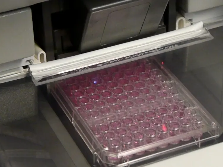Genetic Barcoding with Fluorescent Proteins for Multiplexed Applications