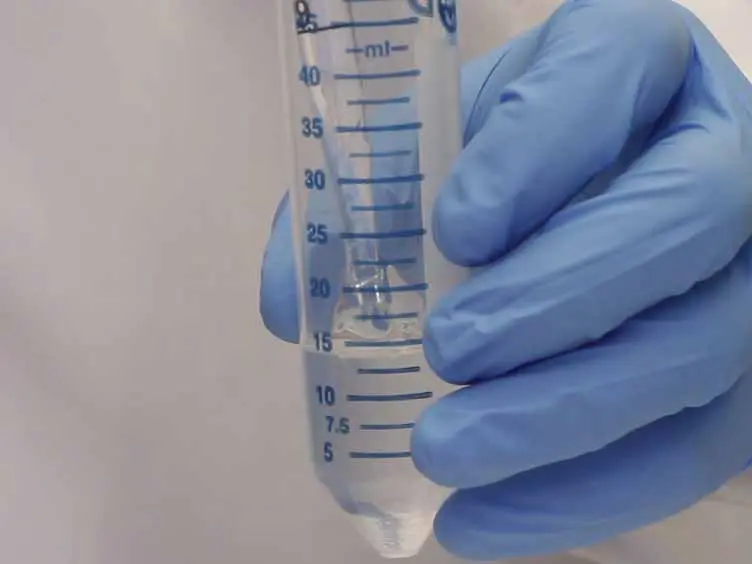 Use of a High-throughput <em>In Vitro</em> Microfluidic System to Develop Oral Multi-species Biofilms