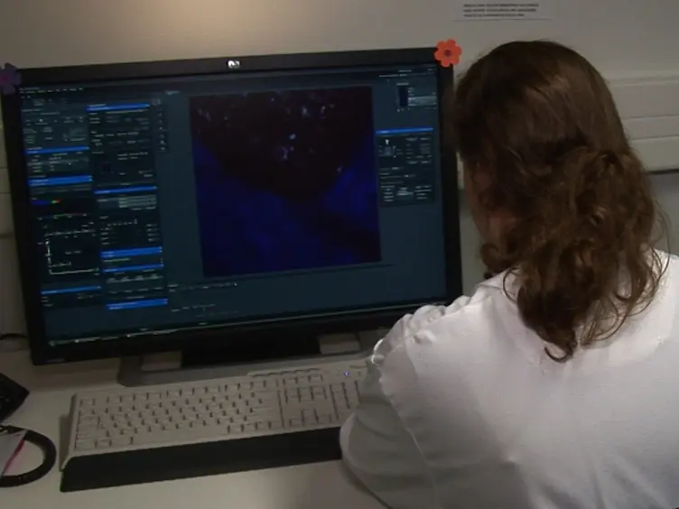 Tracking Mouse Bone Marrow Monocytes <em>In Vivo</em>