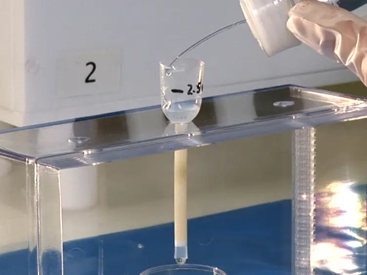 High Precision Zinc Isotopic Measurements Applied to Mouse Organs