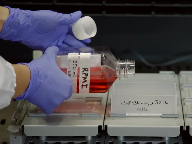High-throughput Screening for Chemical Modulators of Post-transcriptionally Regulated Genes