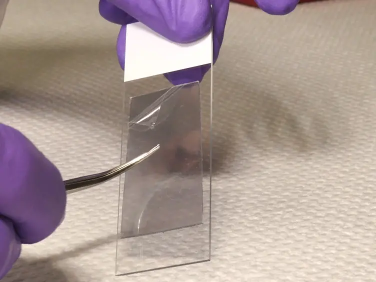 Enhanced Genetic Analysis of Single Human Bioparticles Recovered by Simplified Micromanipulation from Forensic ‘Touch DNA’ Evidence
