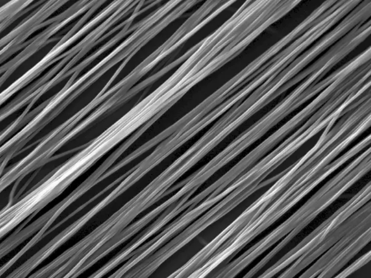 Electrospun Nanofiber Scaffolds with Gradations in Fiber Organization
