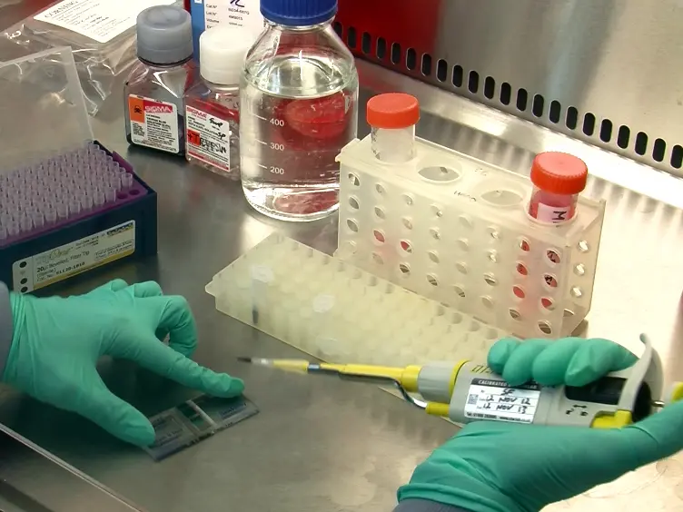 Mammosphere Formation Assay from Human Breast Cancer Tissues and Cell Lines