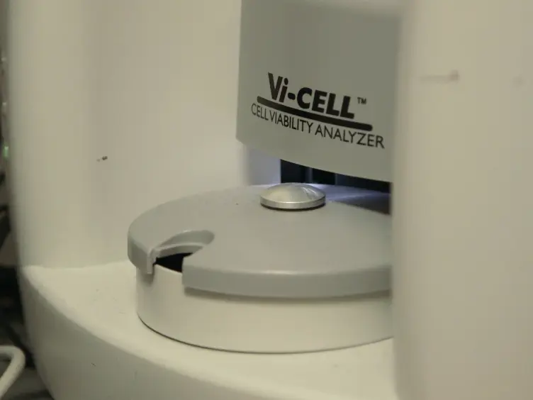 An <em>In Vitro</em> Dormancy Model of Estrogen-sensitive Breast Cancer in the Bone Marrow: A Tool for Molecular Mechanism Studies and Hypothesis Generation