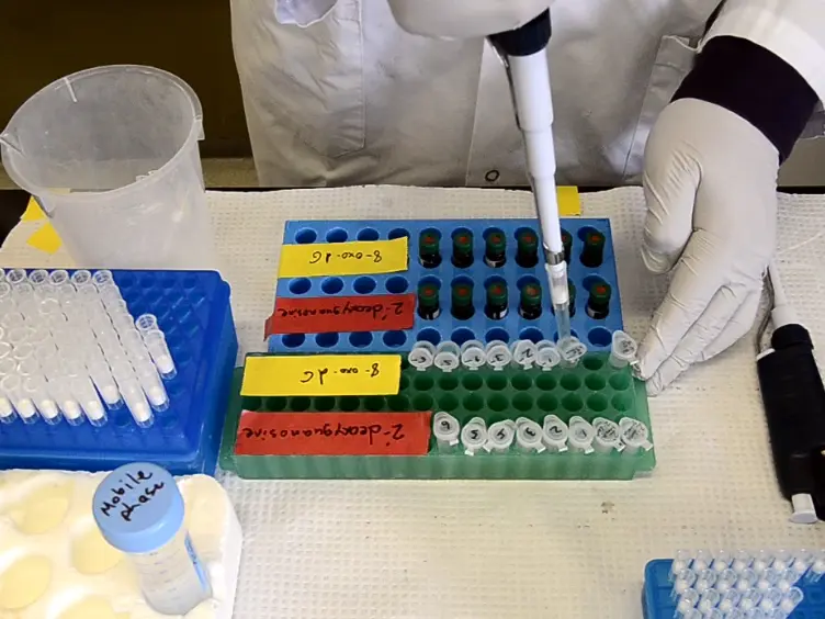 HPLC Measurement of the DNA Oxidation Biomarker, 8-oxo-7,8-dihydro-2’-deoxyguanosine, in Cultured Cells and Animal Tissues