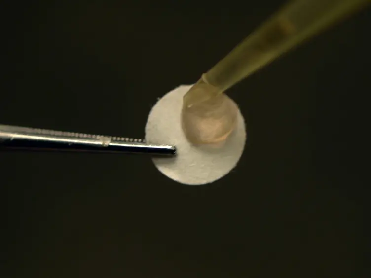 Removal of Trace Elements by Cupric Oxide Nanoparticles from Uranium <em>In Situ</em> Recovery Bleed Water and Its Effect on Cell Viability
