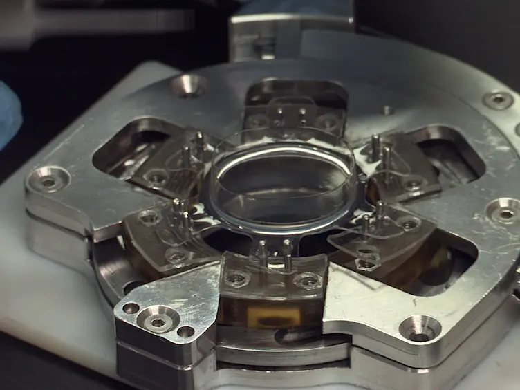 Live Cell Imaging during Mechanical Stretch