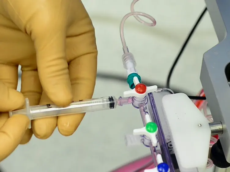 Functional Human Liver Preservation and Recovery by Means of Subnormothermic Machine Perfusion