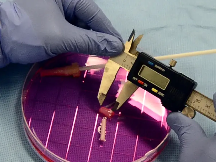 Engineering 3D Cellularized Collagen Gels for Vascular Tissue Regeneration