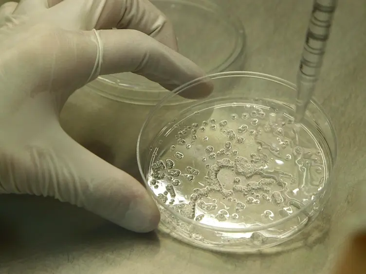 Alginate Encapsulation of Pluripotent Stem Cells Using a Co-axial Nozzle