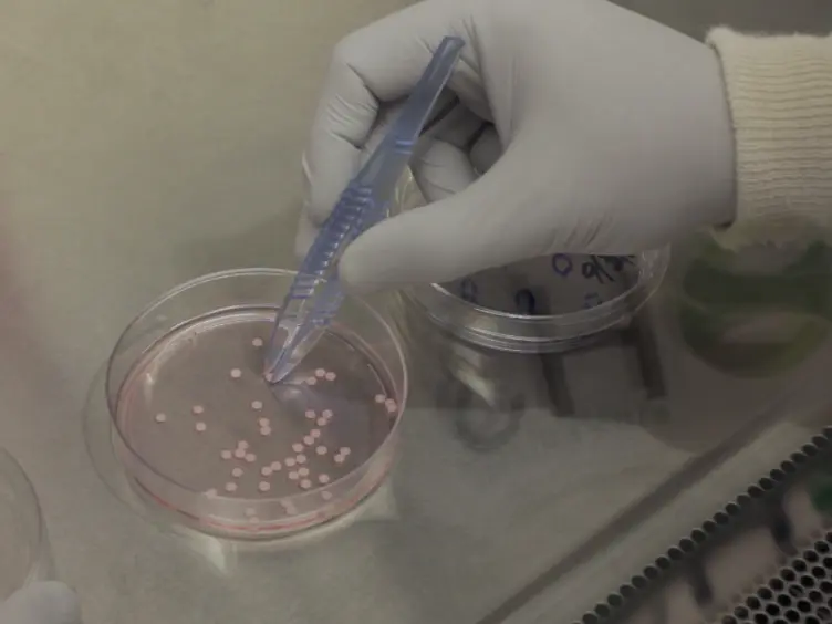Implementation of <em>In Vitro</em> Drug Resistance Assays: Maximizing the Potential for Uncovering Clinically Relevant Resistance Mechanisms