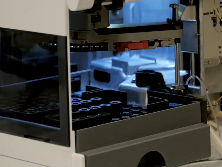 Selected Reaction Monitoring Mass Spectrometry for Absolute Protein Quantification