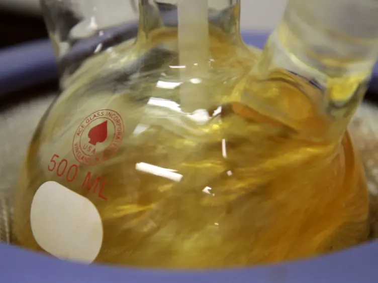 Cell Labeling and Targeting with Superparamagnetic Iron Oxide Nanoparticles