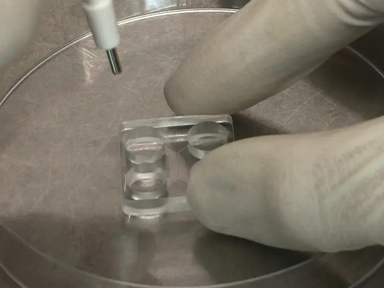 Analysis of Developing Tooth Germ Innervation Using Microfluidic Co-culture Devices