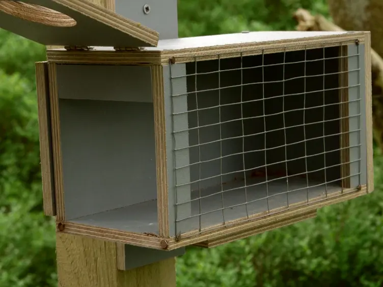 Thermal Imaging to Study Stress Non-invasively in Unrestrained Birds