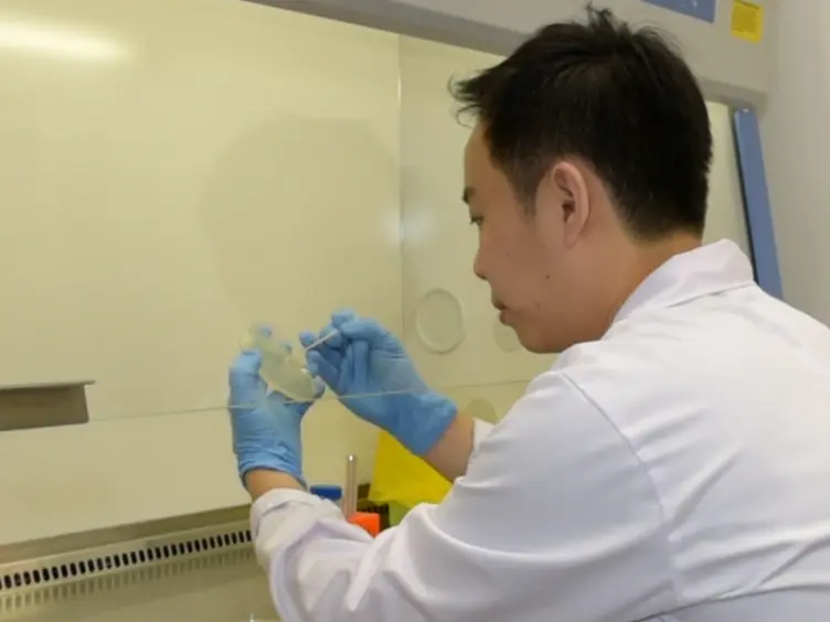 Anti-virulent Disruption of Pathogenic Biofilms using Engineered Quorum-quenching Lactonases