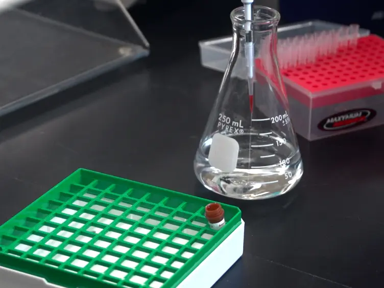 Accurate and Phenol Free DNA Sexing of Day 30 Porcine Embryos by PCR