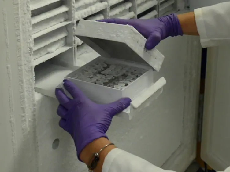 Evaluation of Lung Metastasis in Mouse Mammary Tumor Models by Quantitative Real-time PCR
