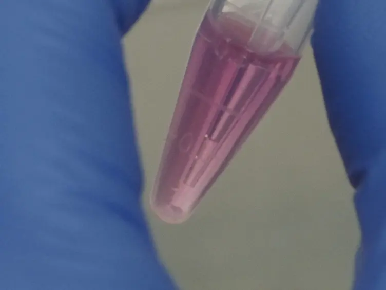 A Cancer Cell Spheroid Assay to Assess Invasion in a 3D Setting