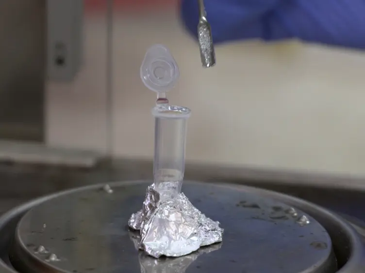 Air-sampled Filter Analysis for Endotoxins and DNA Content