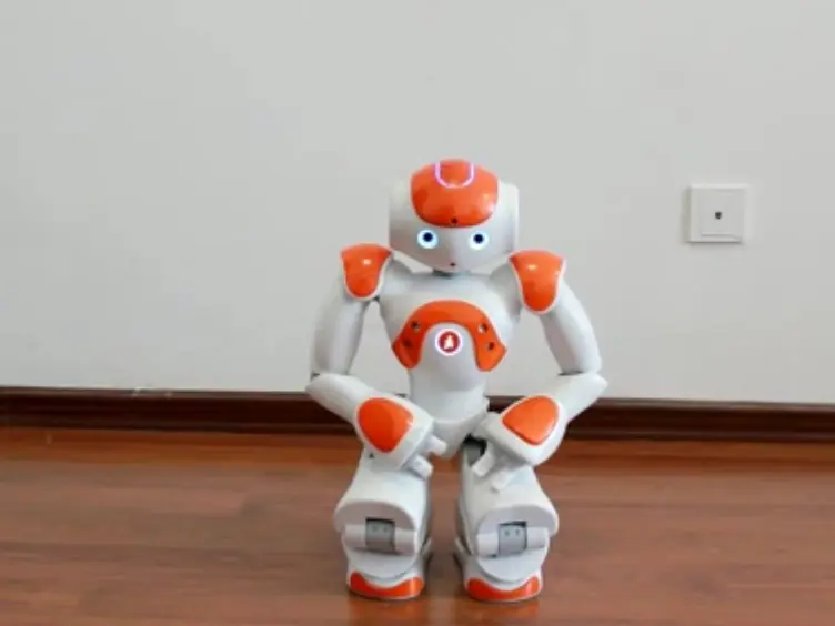 SSVEP-based Experimental Procedure for Brain-Robot Interaction with Humanoid Robots