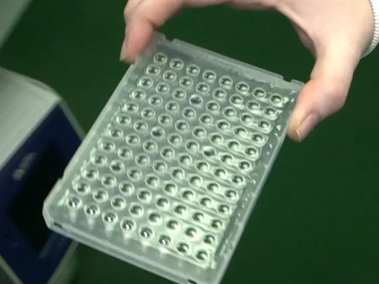 Development and Validation of a Quantitative PCR Method for Equid Herpesvirus-2 Diagnostics in Respiratory Fluids