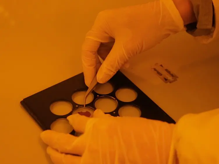Free-form Light Actuators — Fabrication and Control of Actuation in Microscopic Scale