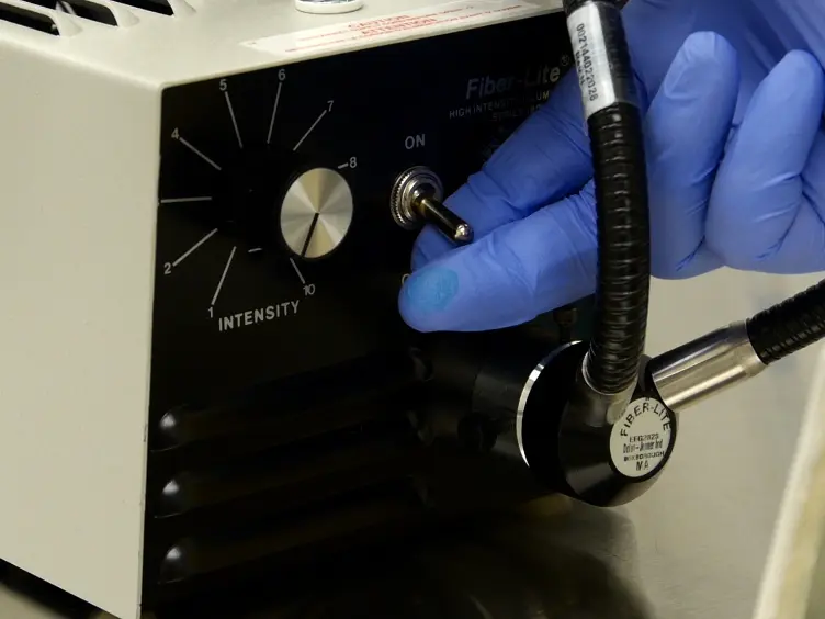 An Improved Method for Rapid Intubation of the Trachea in Mice