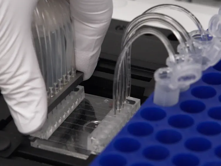 Microfluidic Flow Chambers Using Reconstituted Blood to Model Hemostasis and Platelet Transfusion <em>In Vitro</em>