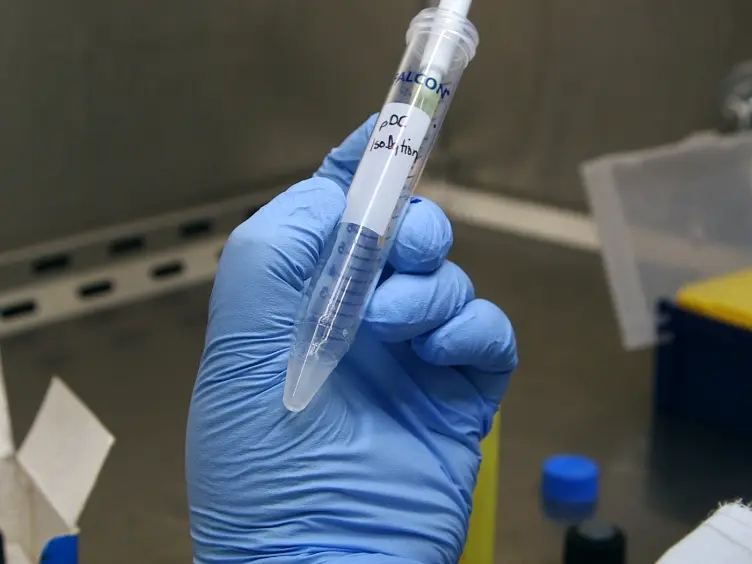 An Efficient and High Yield Method for Isolation of Mouse Dendritic Cell Subsets