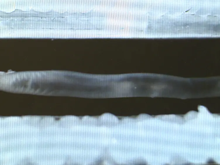 Video Imaging and Spatiotemporal Maps to Analyze Gastrointestinal Motility in Mice