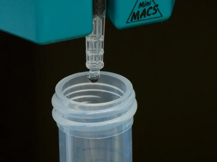 Immunomagnetic Separation of Fat Depot-specific Sca1<sup>high</sup> Adipose-derived Stem Cells (ASCs)