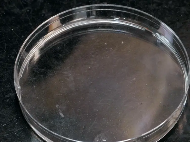 Murine Prostate Micro-dissection and Surgical Castration