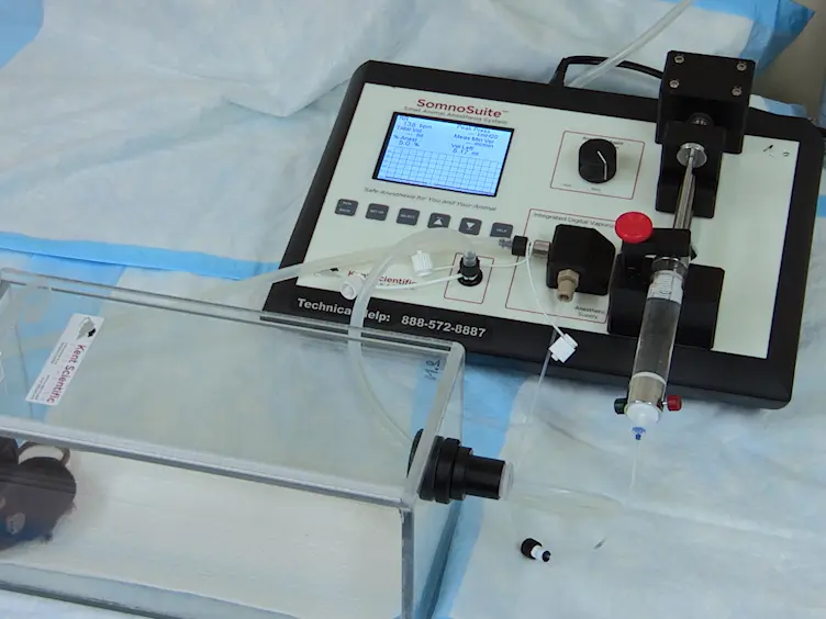 Long-term Blood Pressure Measurement in Freely Moving Mice Using Telemetry