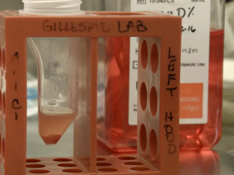 Generation of Microtumors Using 3D Human Biogel Culture System and Patient-derived Glioblastoma Cells for Kinomic Profiling and Drug Response Testing