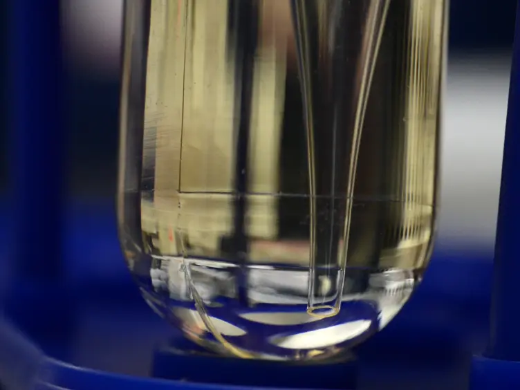 Expression and Purification of Virus-like Particles for Vaccination