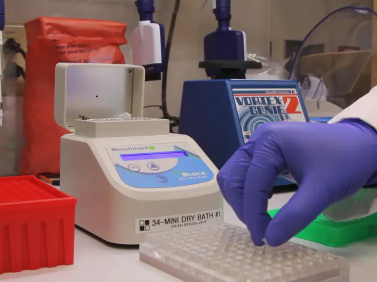 Targeted RNA Sequencing Assay to Characterize Gene Expression and Genomic Alterations