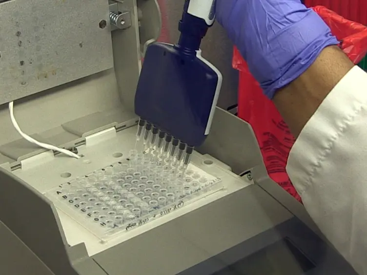 Unbiased Deep Sequencing of RNA Viruses from Clinical Samples