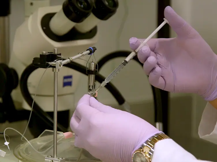 Novel Approach for Simultaneous Recording of Renal Sympathetic Nerve Activity and Blood Pressure with Intravenous Infusion in Conscious, Unrestrained Mice.