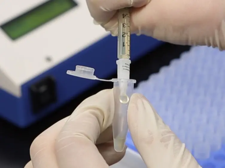 Highly Sensitive and Rapid Fluorescence Detection with a Portable FRET Analyzer